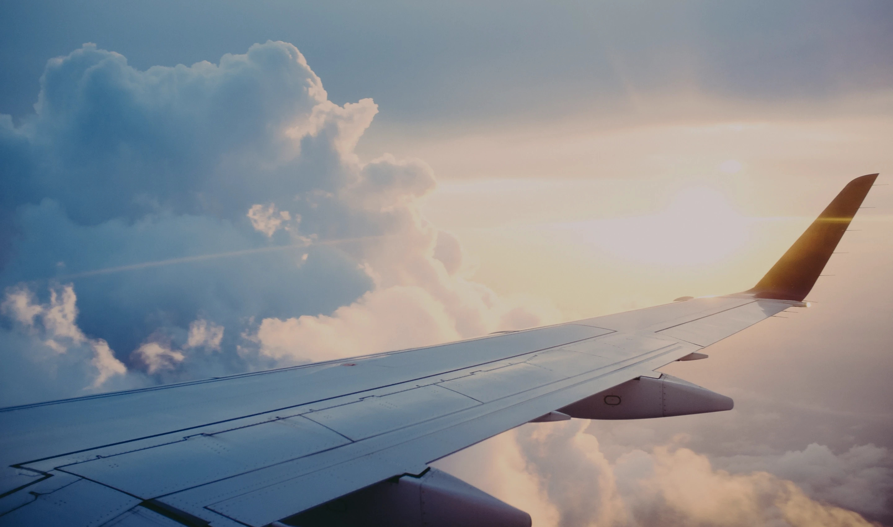 imageBanner