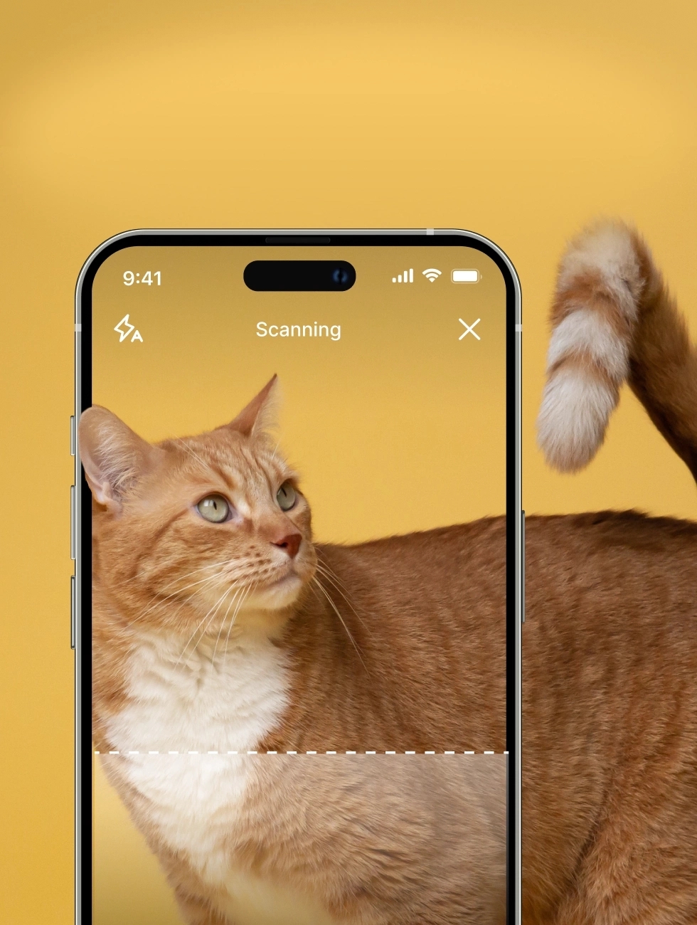 case study background