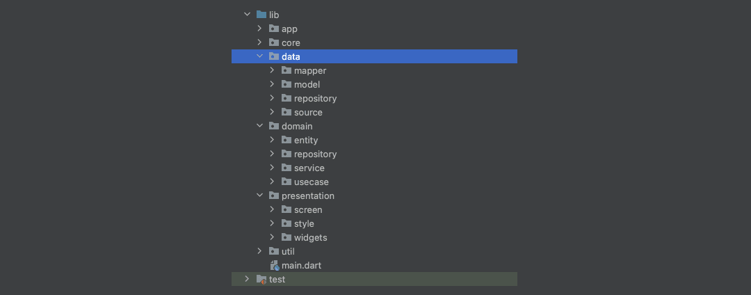 setup flutter project