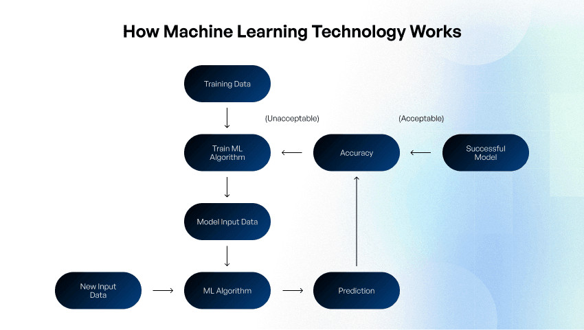 Businesses' Guide to Machine Learning Model Development