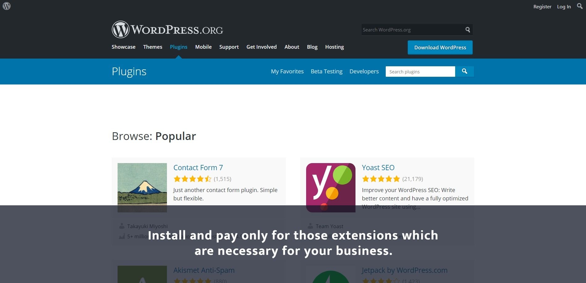 wordpress web development