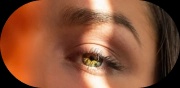 eye