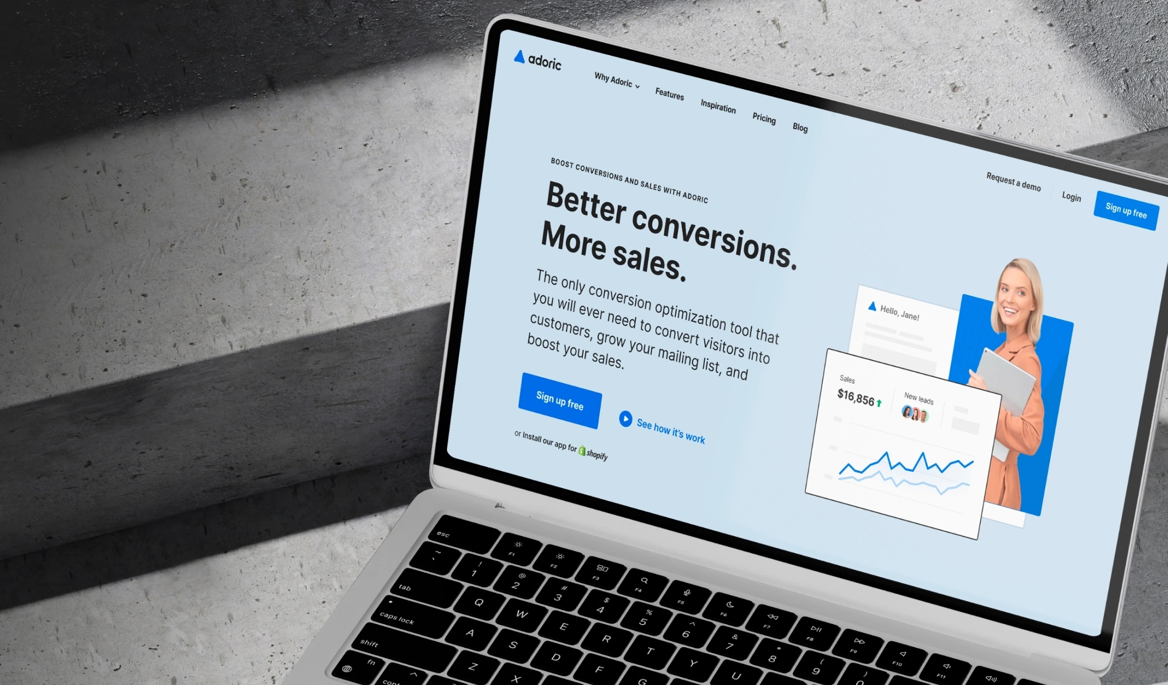 case study background