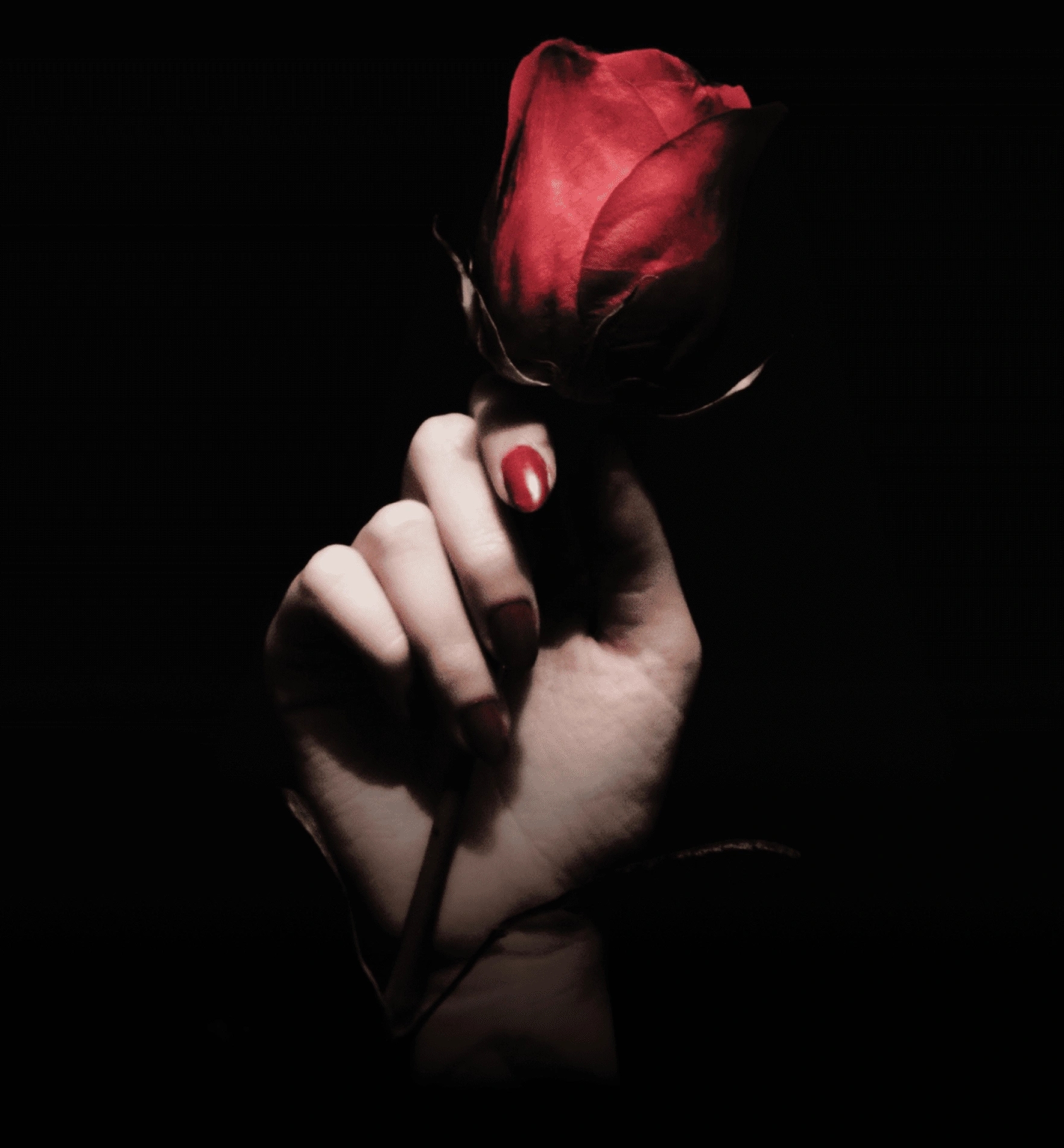 hand-with-rose