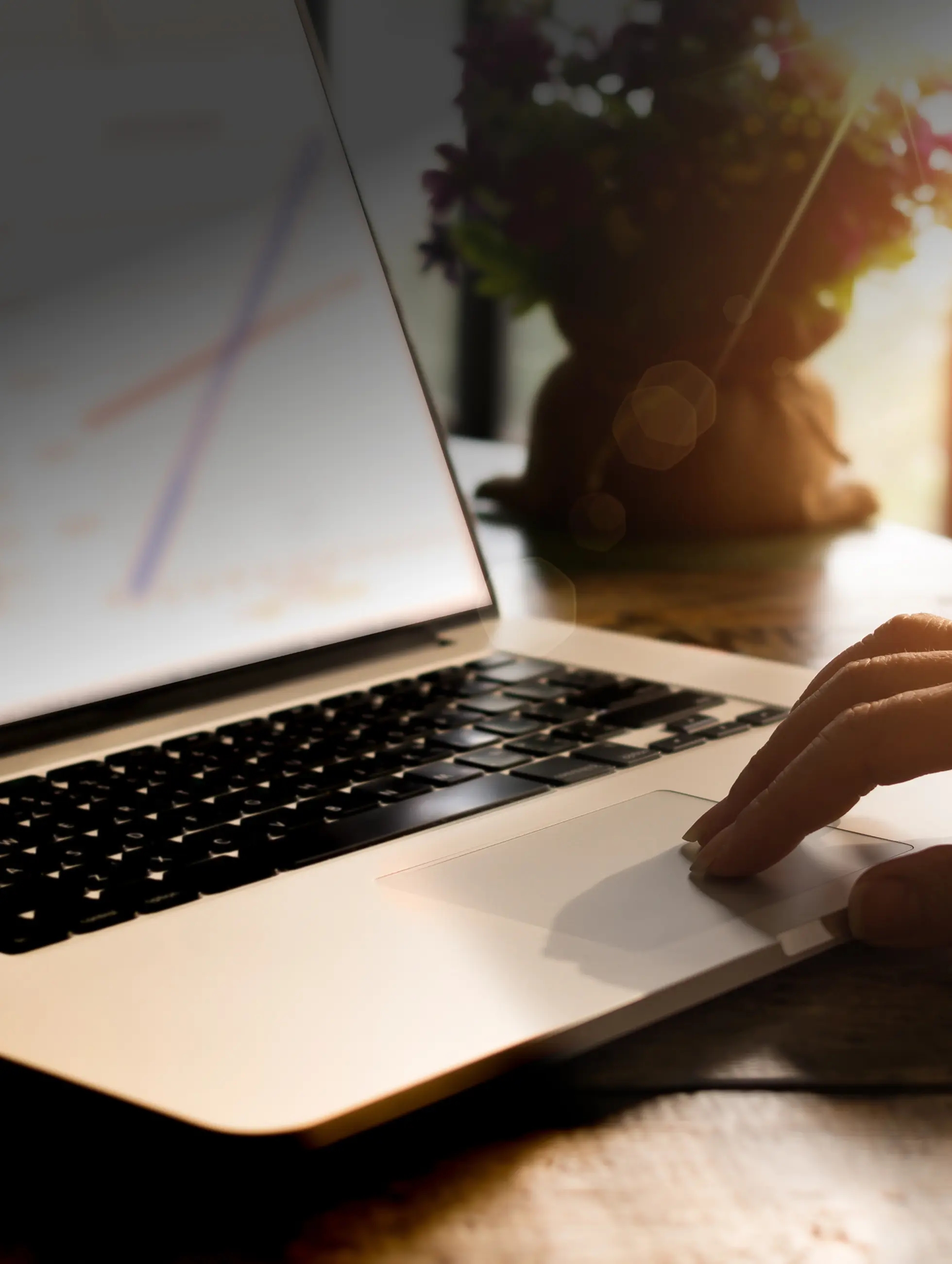 case study background