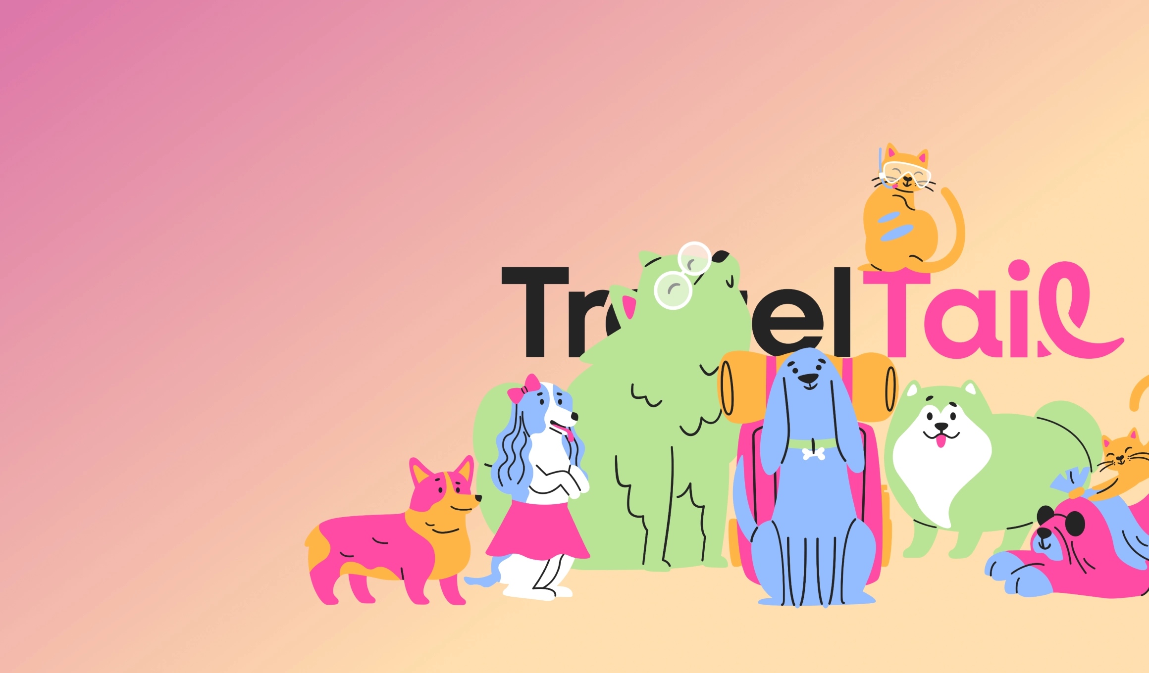 case study background